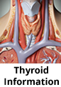 Thyroid Information