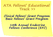 ATA Fellows' Track