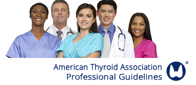 ATA Professional Guidelines