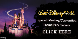 Walt Disney World Theme Park Tickets
