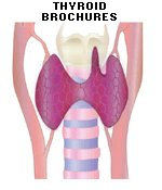 Thyroid Brochures and FAQs