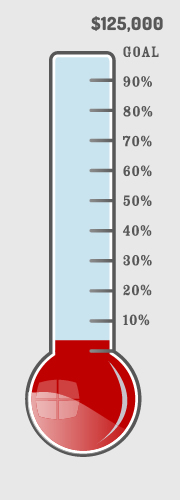 Donation Themometer