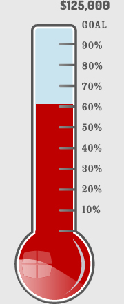 Donation Themometer