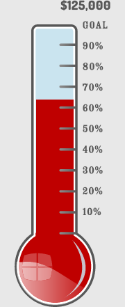 Donation Themometer
